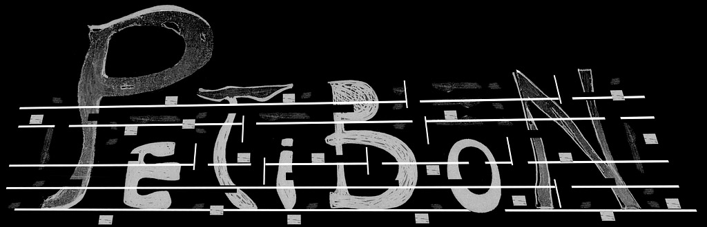 À Patricia Petibon - Lettres songes de Berlin
